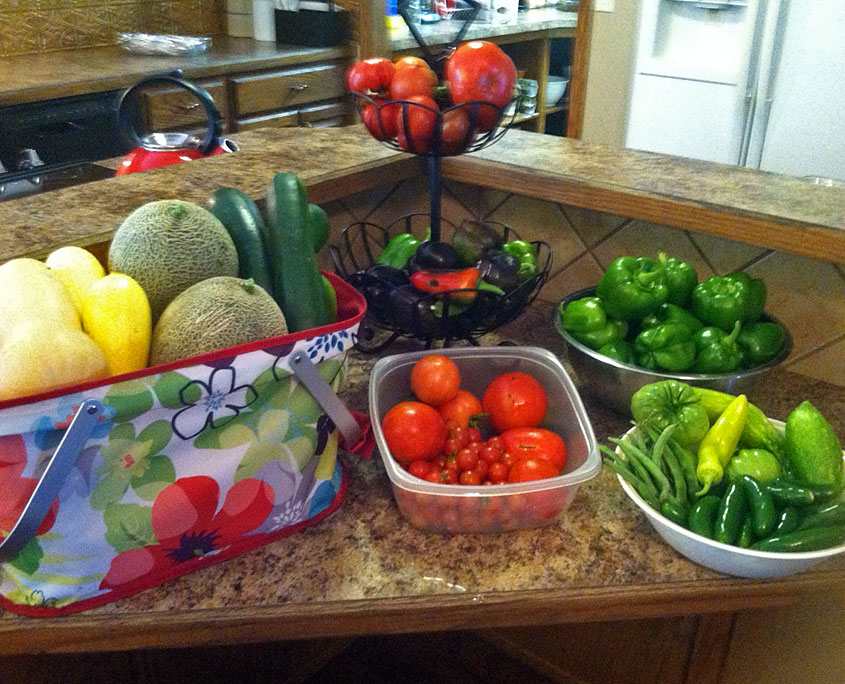 Gardening at Premier Living by Warden